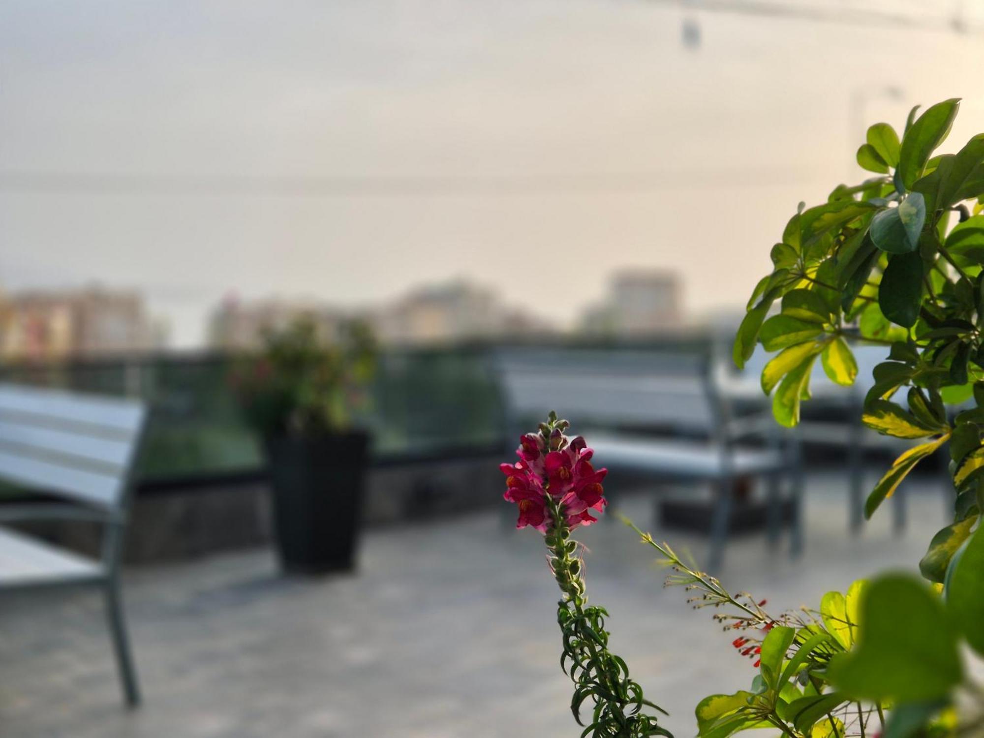 Flore Rooms Sarandë Eksteriør bilde